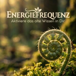 Logo Energiefrequenz mit Farn-Spirale im Waldlicht – Bianka Bakschik Wurzelwerk